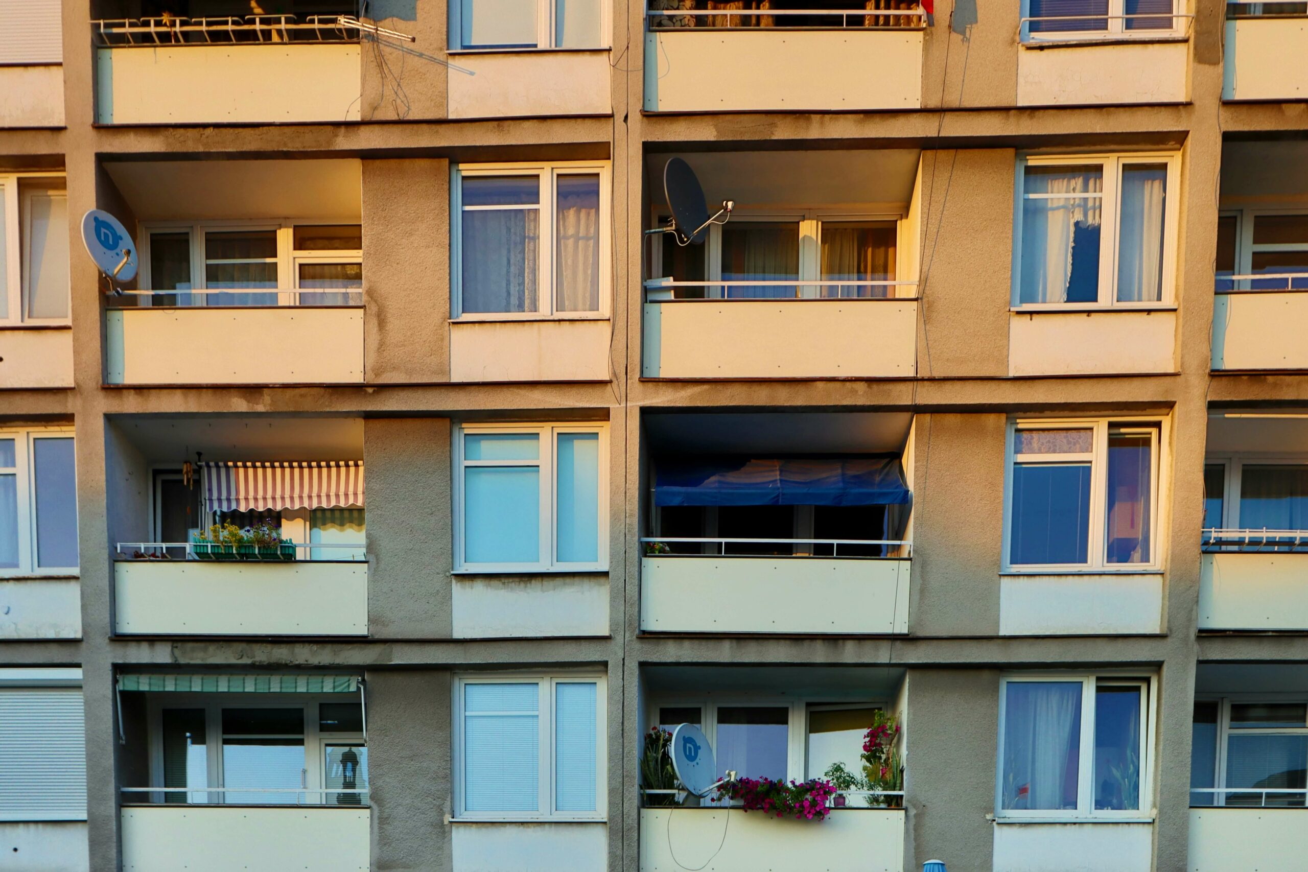 Jak sprawdzić, czy są pluskwy w mieszkaniu?