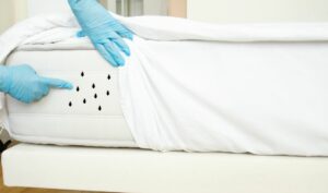 Pluskwy i podróż – jak sprawdzić pokój w hotelu?