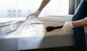 Zabezpieczenie używanych mebli przed pluskwami – jak?