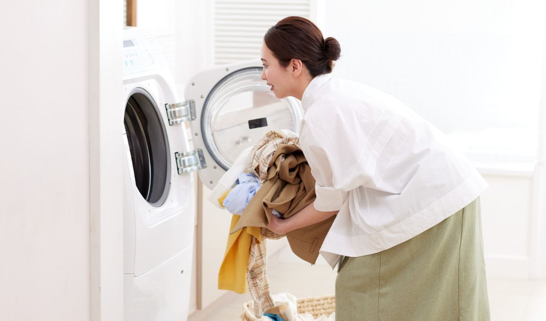 Pluskwy w pralce/suszarce – czy to przetrwają?