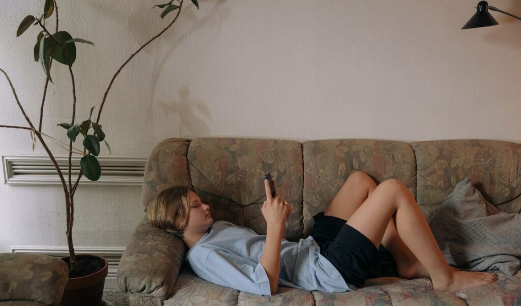 Używana kanapa = pluskwy? Czy ryzyko?