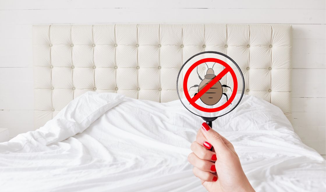 Ultradzwięki na pluskwy i prusaki – czy działają?