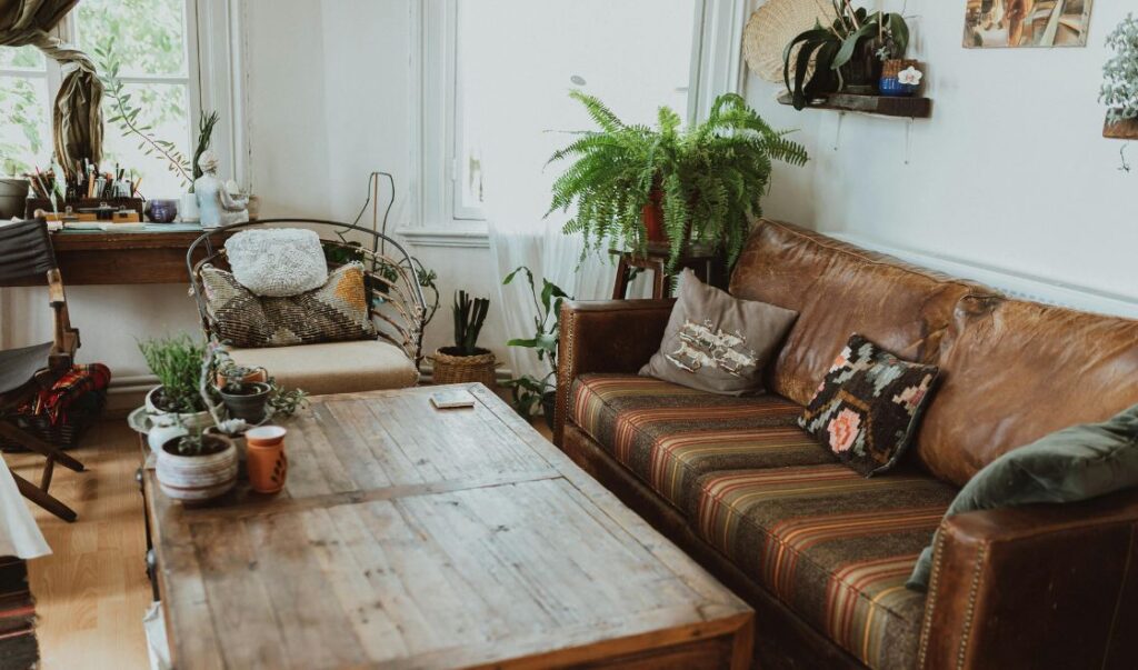 Jak pozbyć się pluskiew ze starych mebli?