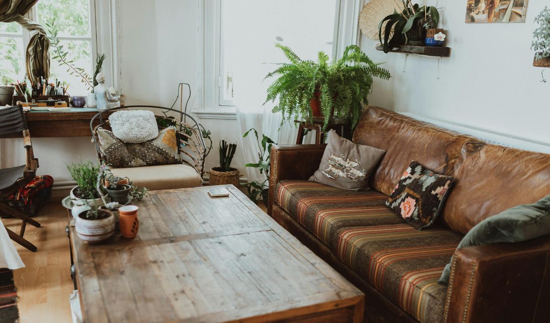 Jak pozbyć się pluskiew ze starych mebli?