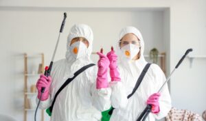 Jak przygotować mieszkanie w bloku do skutecznego zwalczania karaluchów?